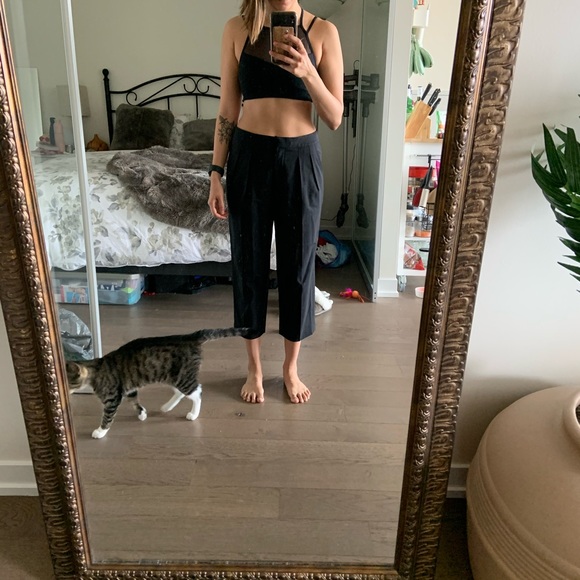 Babaton Cropped Tailored Pants (fits like size 2) - Picture 4 of 4